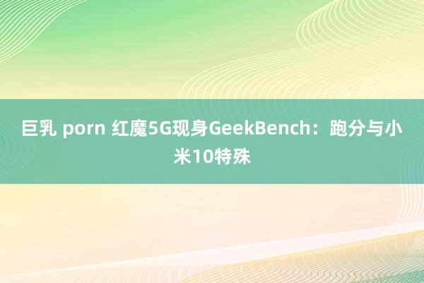 巨乳 porn 红魔5G现身GeekBench：跑分与小米10特殊