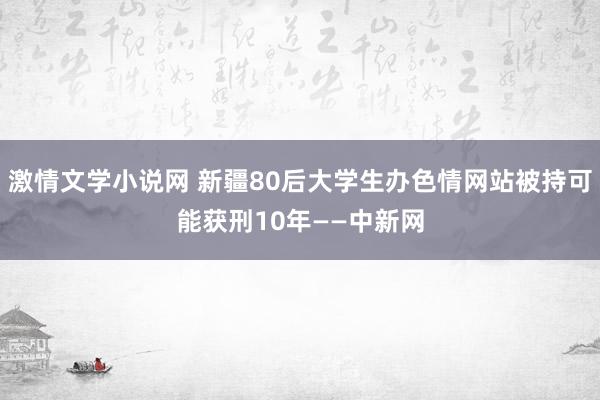 激情文学小说网 新疆80后大学生办色情网站被持可能获刑10年——中新网