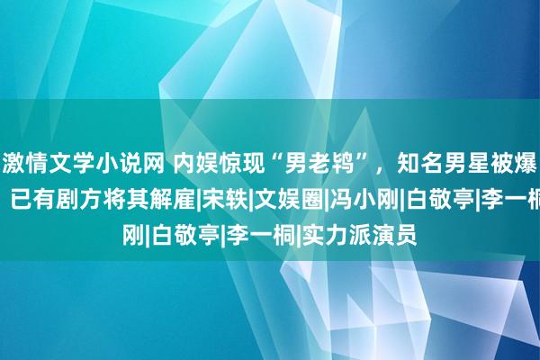 激情文学小说网 内娱惊现“男老鸨”，知名男星被爆大法式丑闻，已有剧方将其解雇|宋轶|文娱圈|冯小刚|白敬亭|李一桐|实力派演员