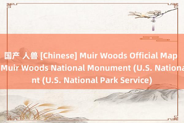 国产 人兽 [Chinese] Muir Woods Official Map & Guide - Muir Woods National Monument (U.S. National Park Service)