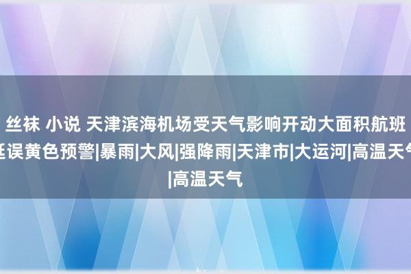 丝袜 小说 天津滨海机场受天气影响开动大面积航班延误黄色预警|暴雨|大风|强降雨|天津市|大运河|高温天气