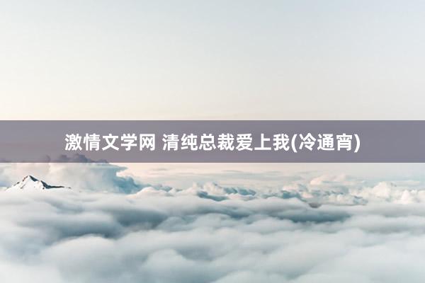 激情文学网 清纯总裁爱上我(冷通宵)