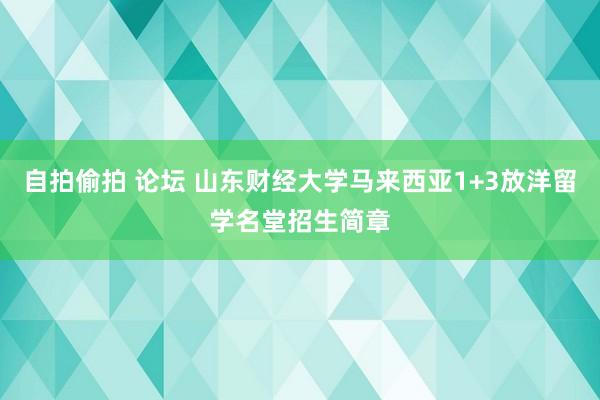 自拍偷拍 论坛 山东财经大学马来西亚1+3放洋留学名堂招生简章